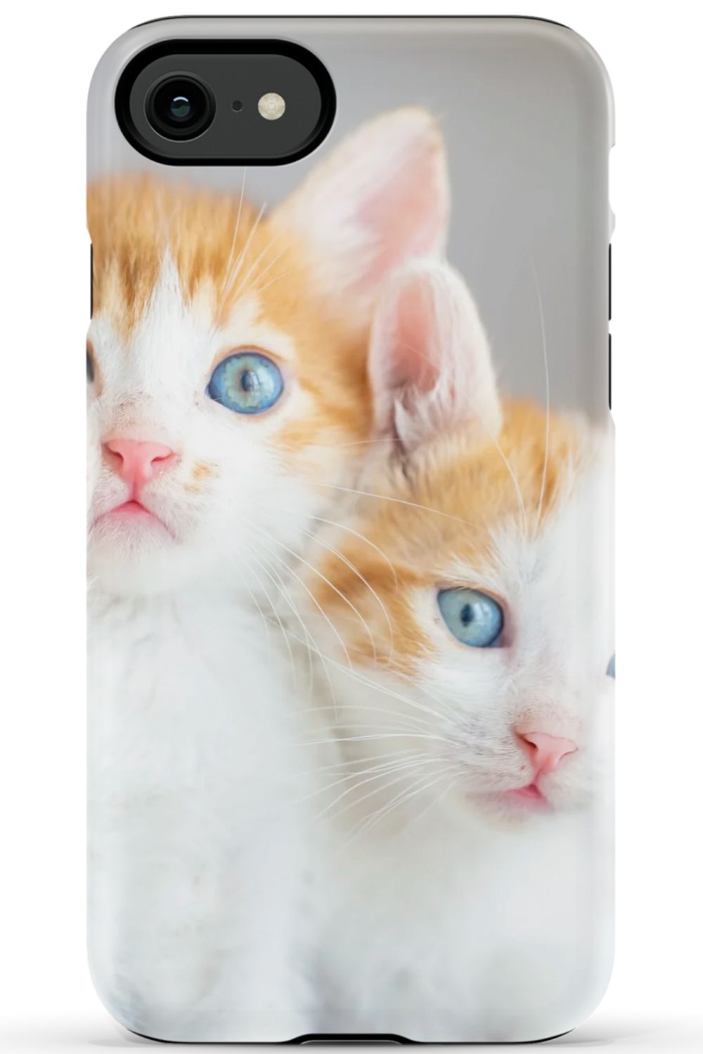 Cute Ginger Kitten Case