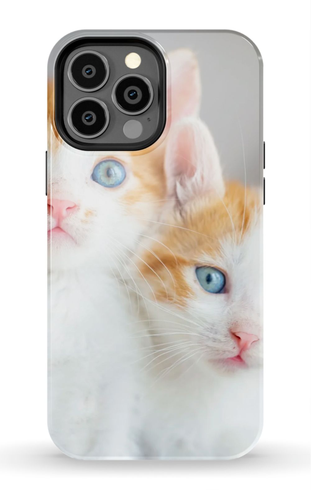Cute Ginger Kitten Case